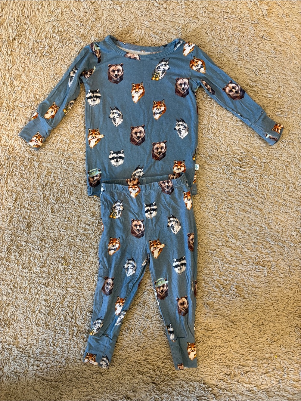 Posh Peanut Long-Sleeve PJ set. Blue w/Woodland Animal Print. Like new. 12-18 mo